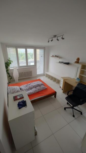Nomads room nearest forest Kamýk